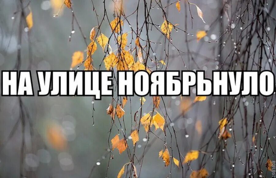 Подборка про осень