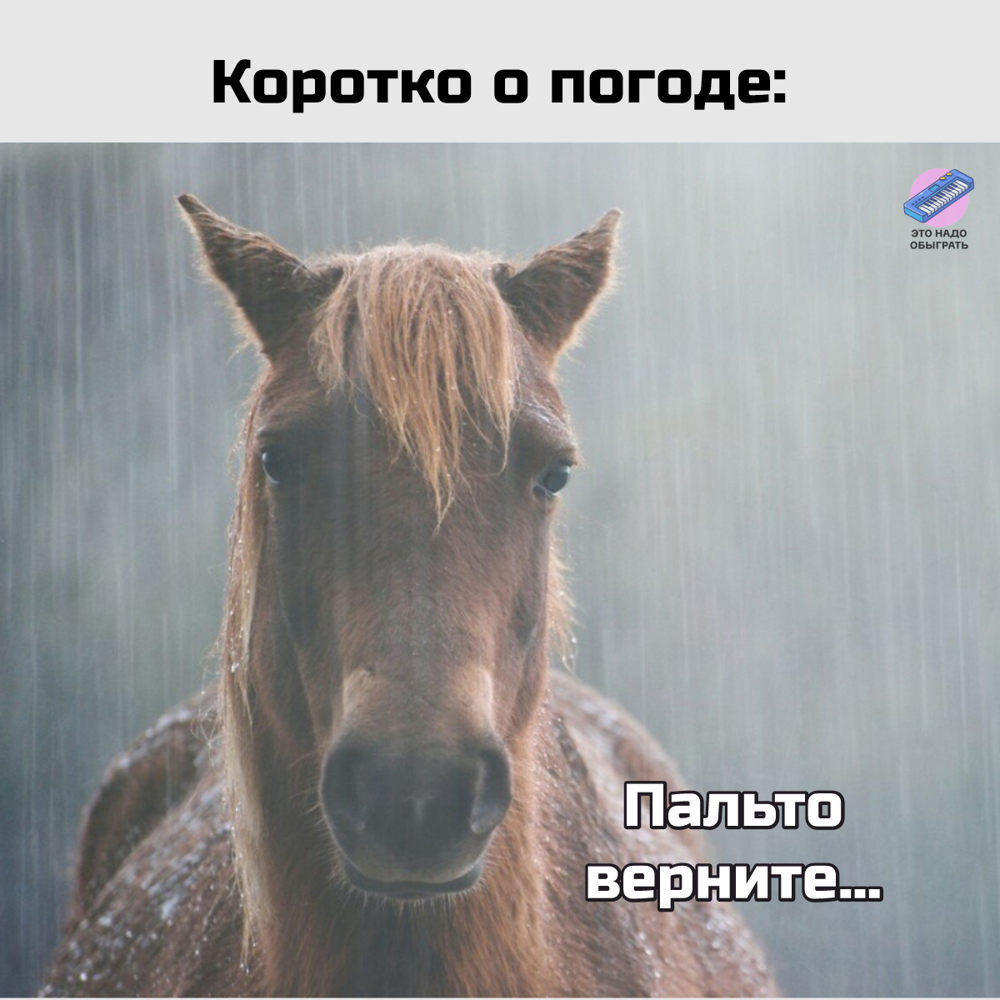 Подборка про осень