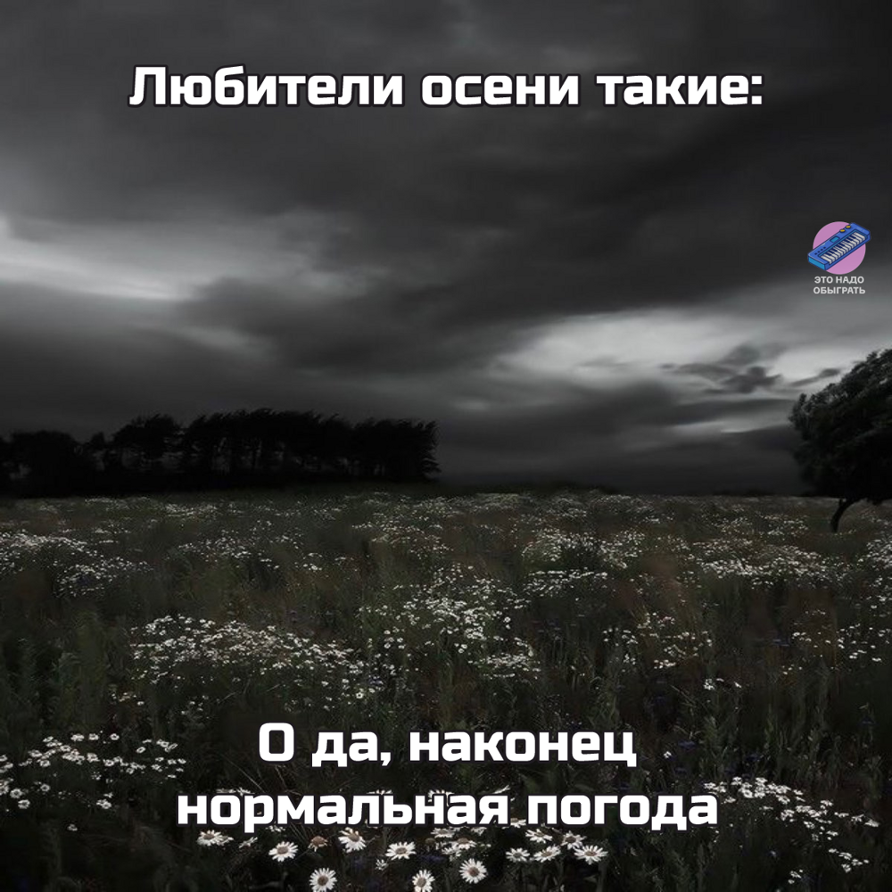 Подборка про осень