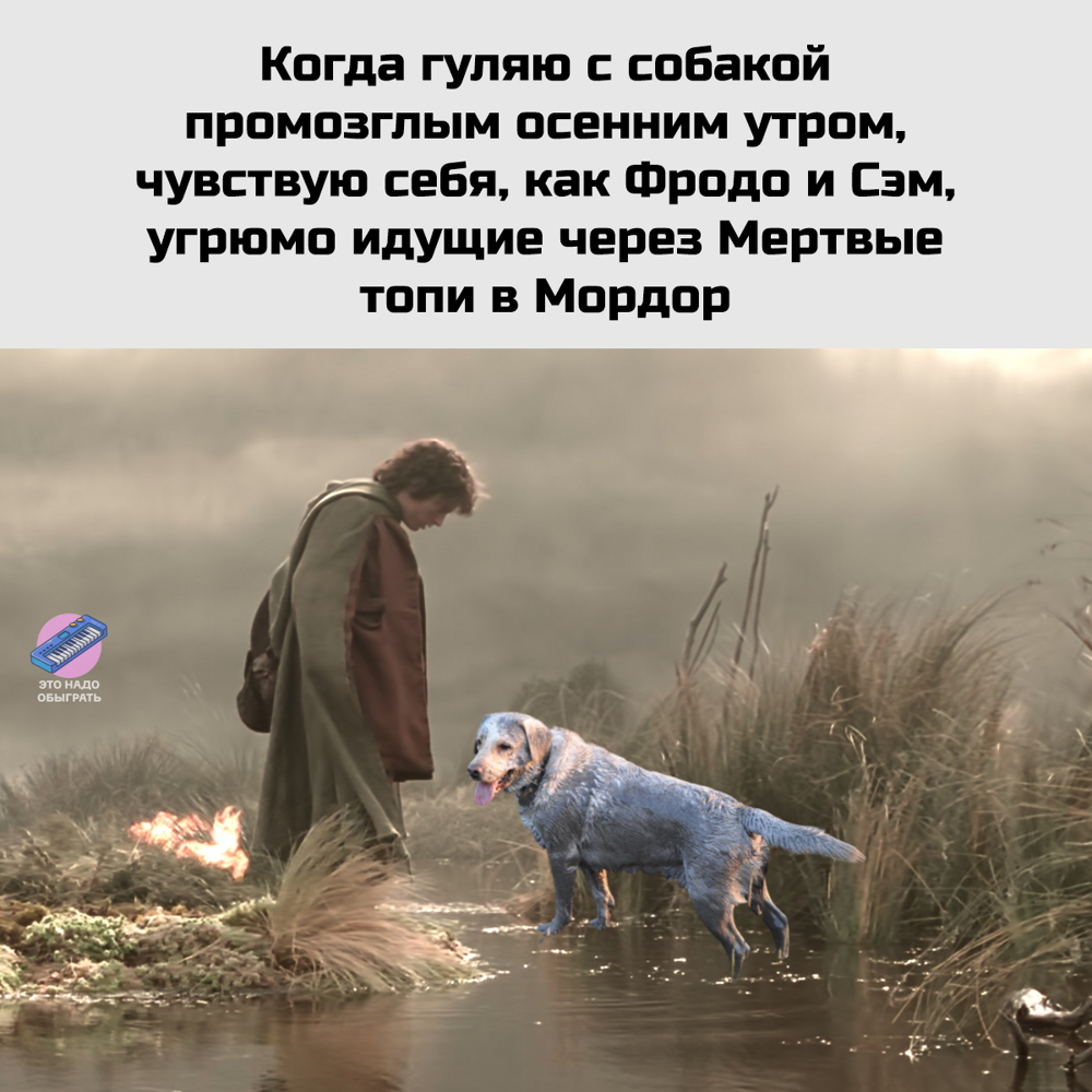 Подборка про осень