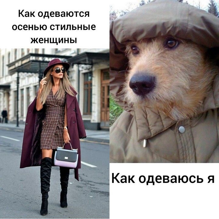 Подборка про осень