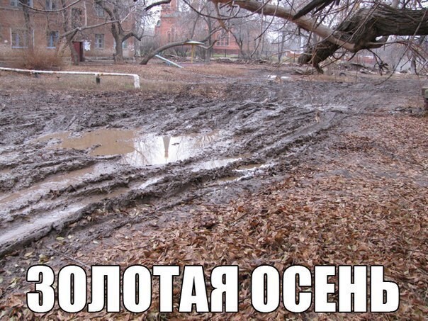 Подборка про осень