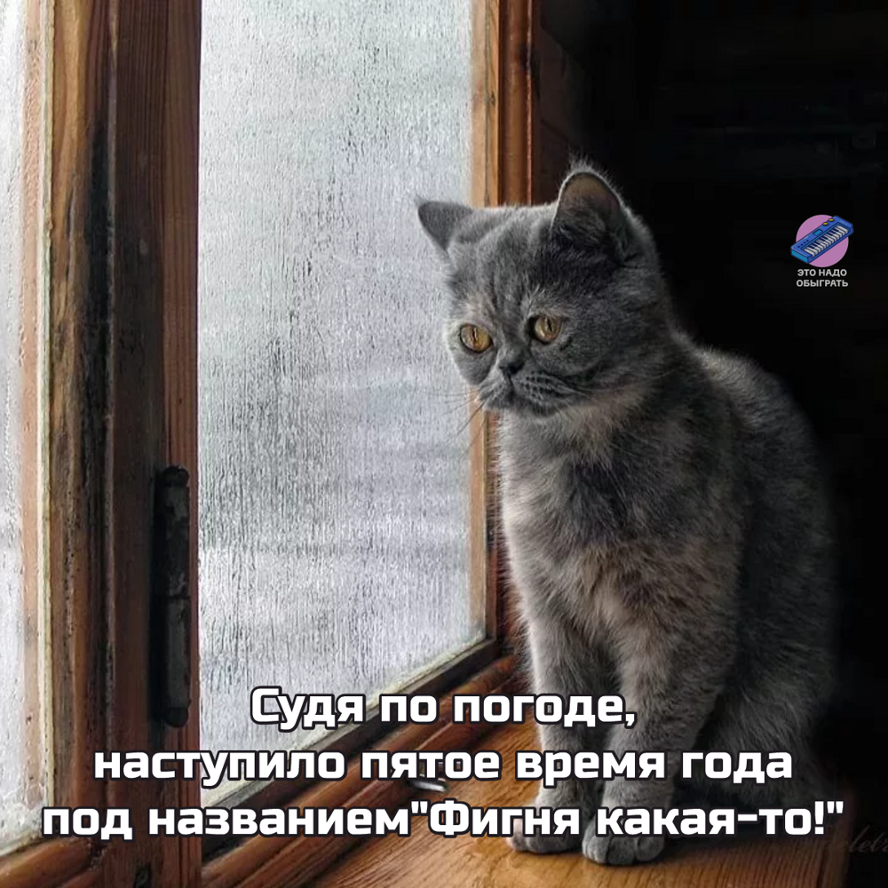 Подборка про осень