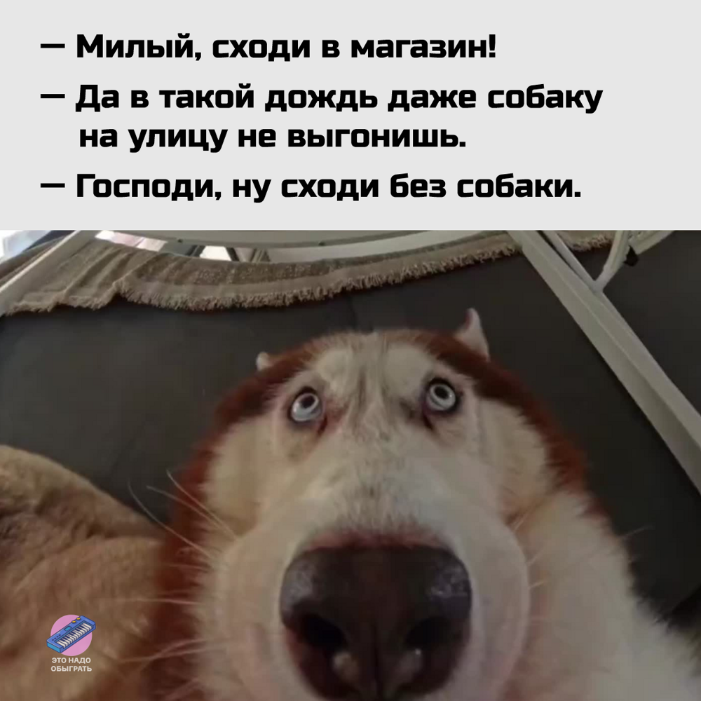 Подборка про осень