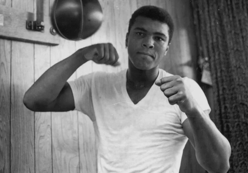 На Аллее славы тысячи имён, но только одно нельзя топтать - история звезды, висящей на стене