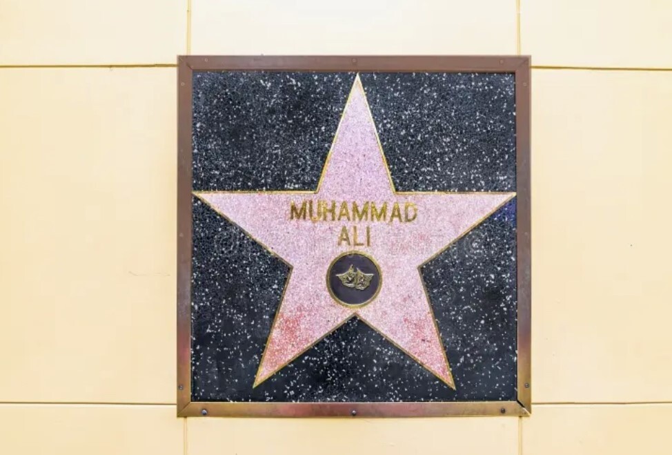 На Аллее славы тысячи имён, но только одно нельзя топтать - история звезды, висящей на стене