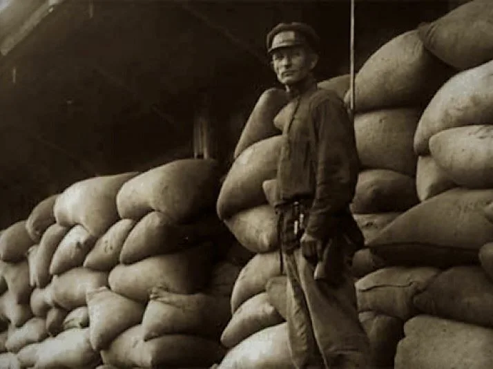 Нарушил закон «Три колоска» и другие мифы. Трагическая судьба Миши Шамонина