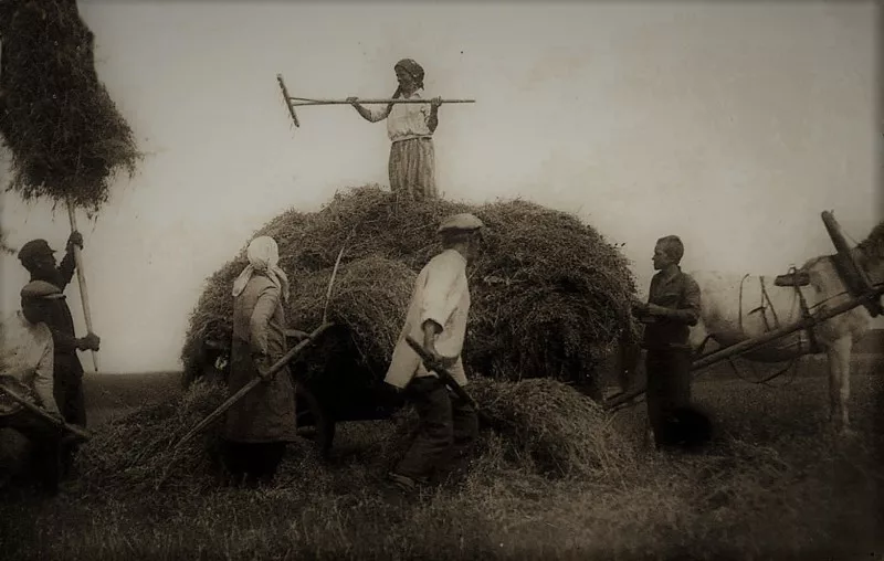 Нарушил закон «Три колоска» и другие мифы. Трагическая судьба Миши Шамонина