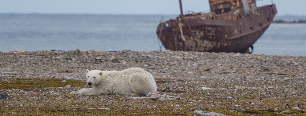 Место где взорвали Царь-бомбу. Что сейчас происходит на полигоне на Новой Земле