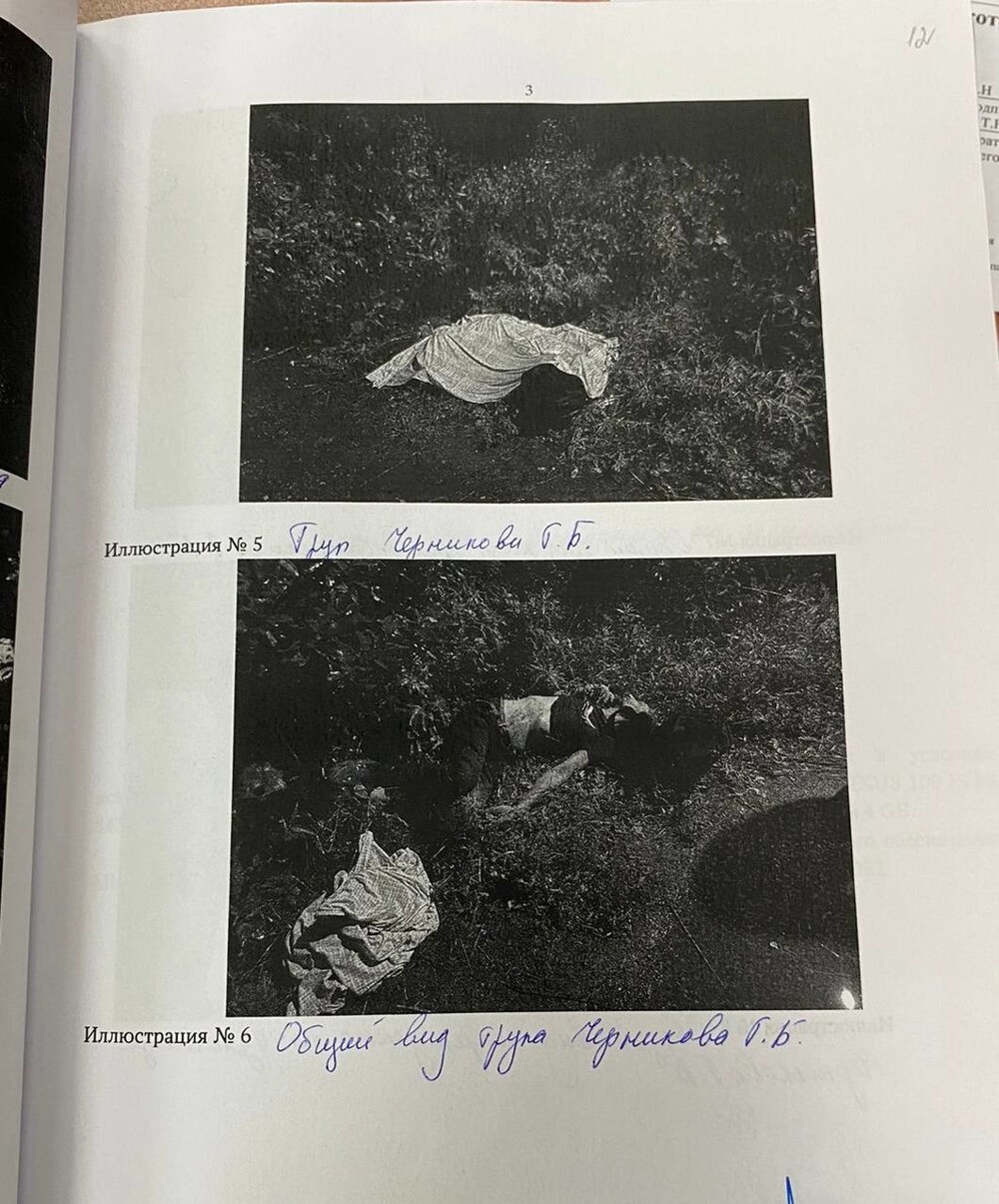 "Дело рук диаспоры": в Подмосковье удивляются чрезвычайно мягкому приговору убийцам глухонемого инвалида