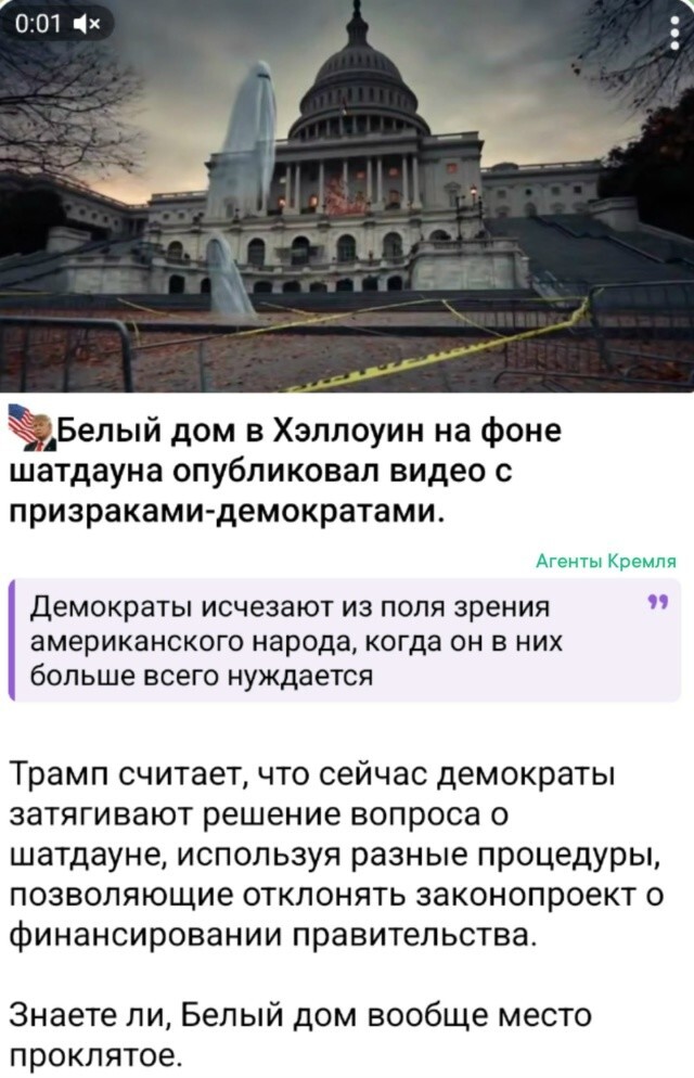 Белый дурдом