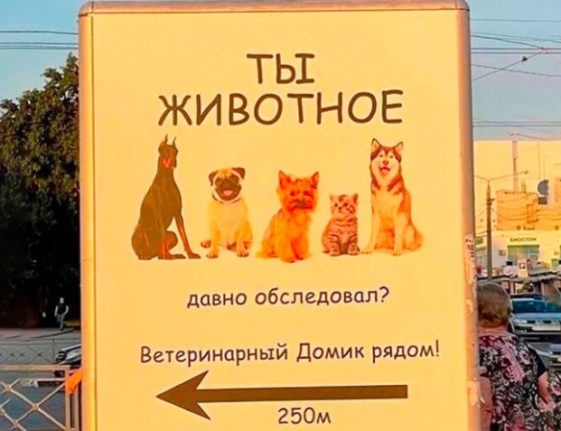 Гении маркетинга, что у них с головой?