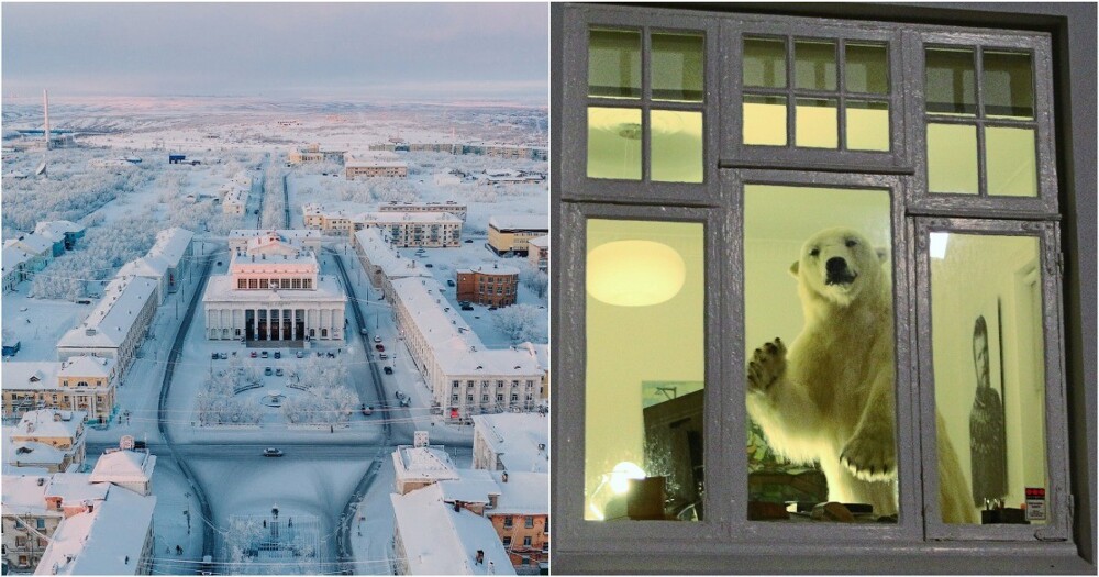 Море за окном, но не то: государство заманивает россиян в Арктику Море за окном, но не то: государство заманивает россиян в Арктику