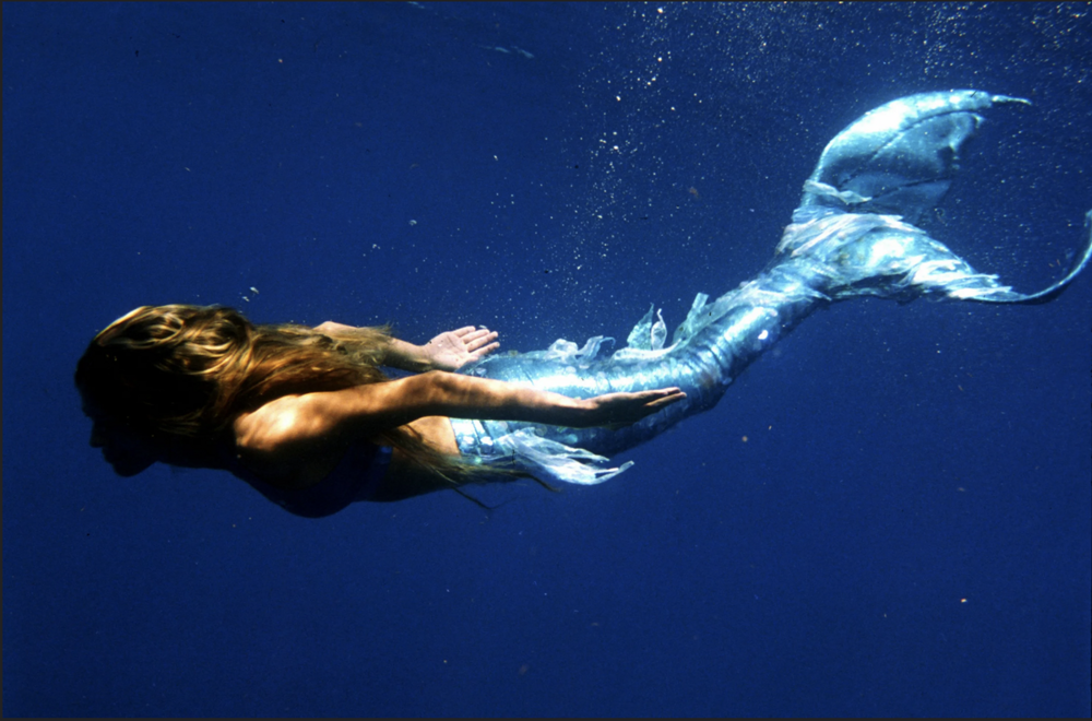 Русалки существуют — просто мы ищем не там