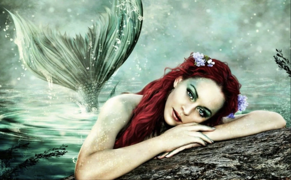 Русалки существуют — просто мы ищем не там