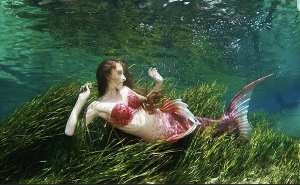 Русалки существуют — просто мы ищем не там