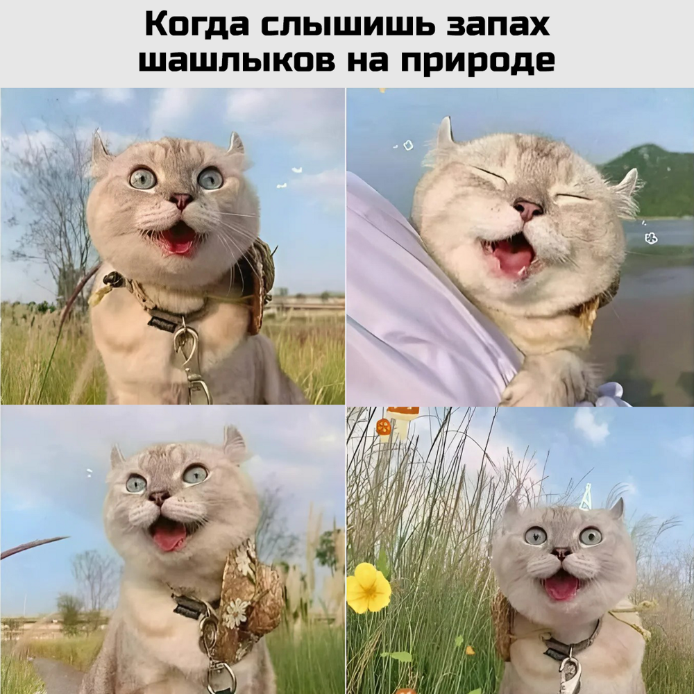 Подборка с дымком