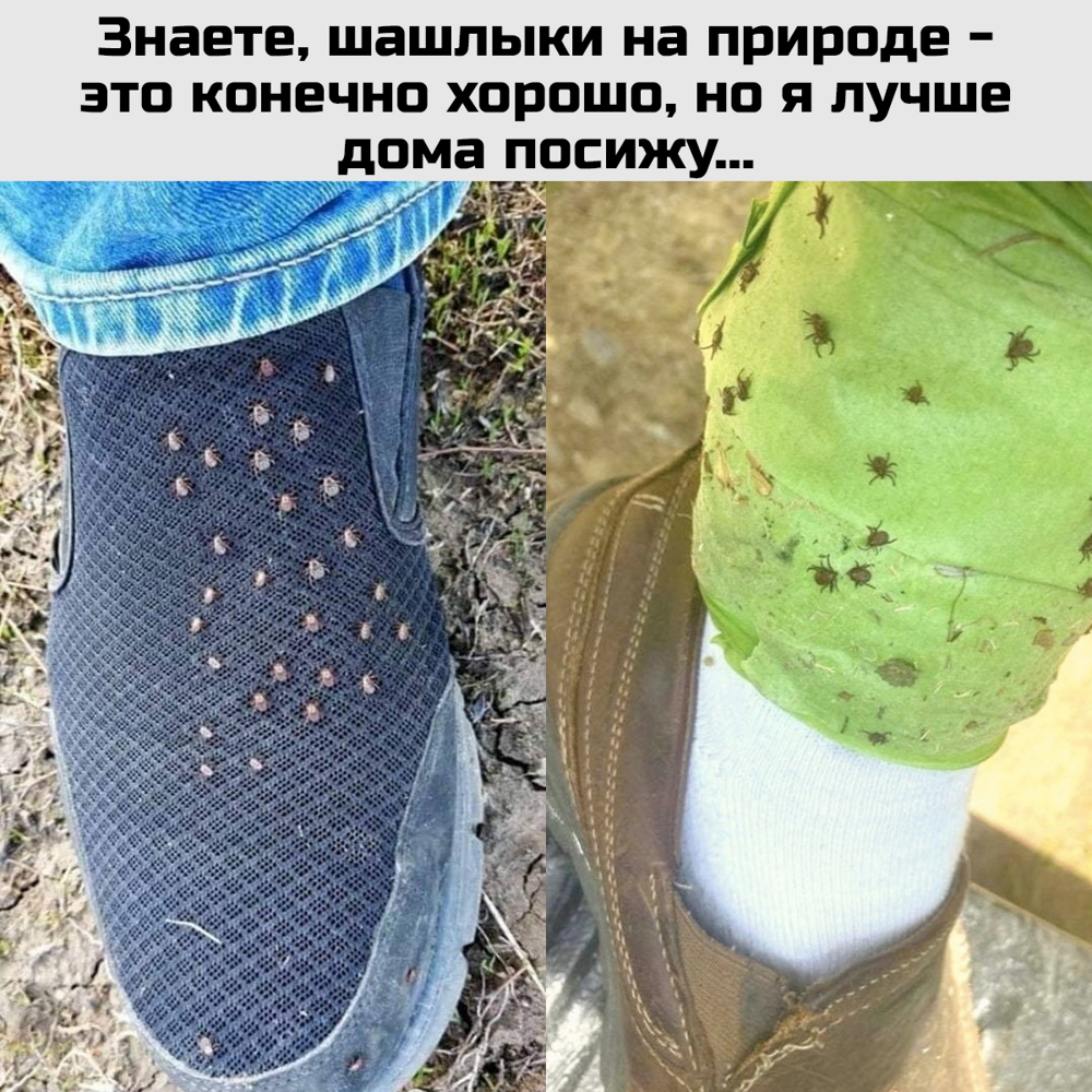 Подборка с дымком