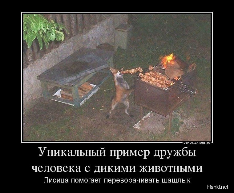 Подборка с дымком