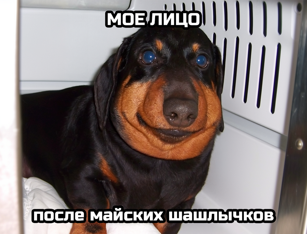 Подборка с дымком