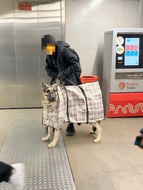 ФотоВсячина