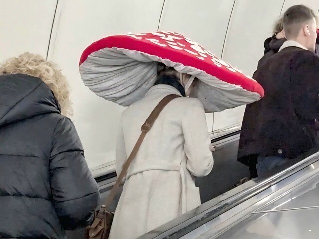 ФотоВсячина