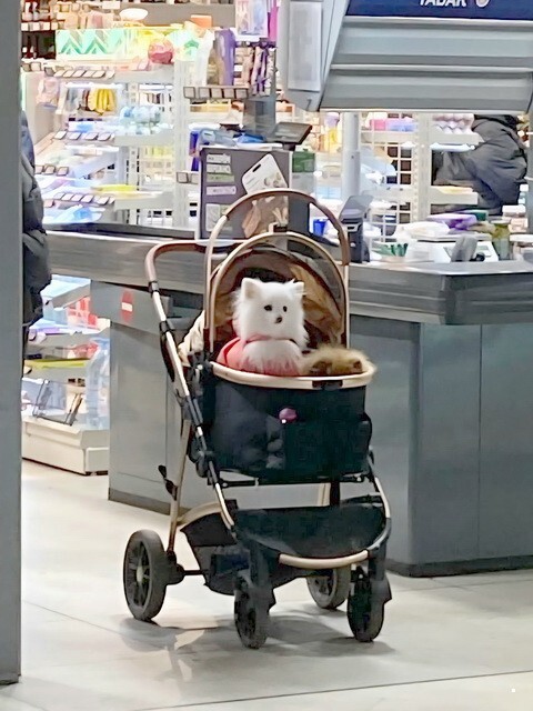 ФотоВсячина