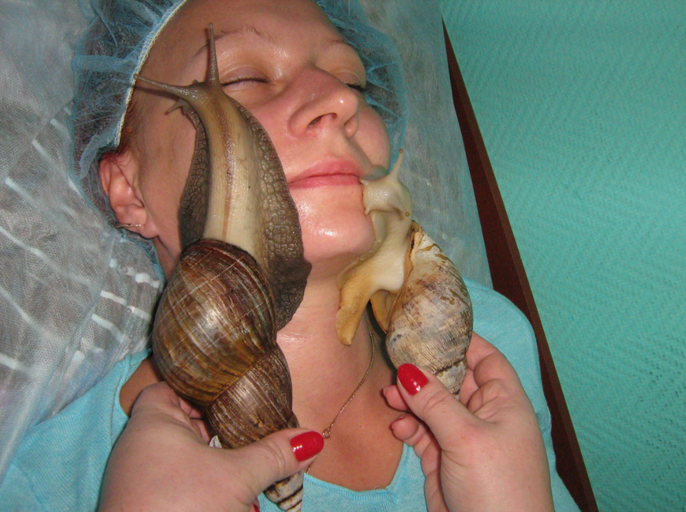 Ахатины: домашние улитки уничтожают мир