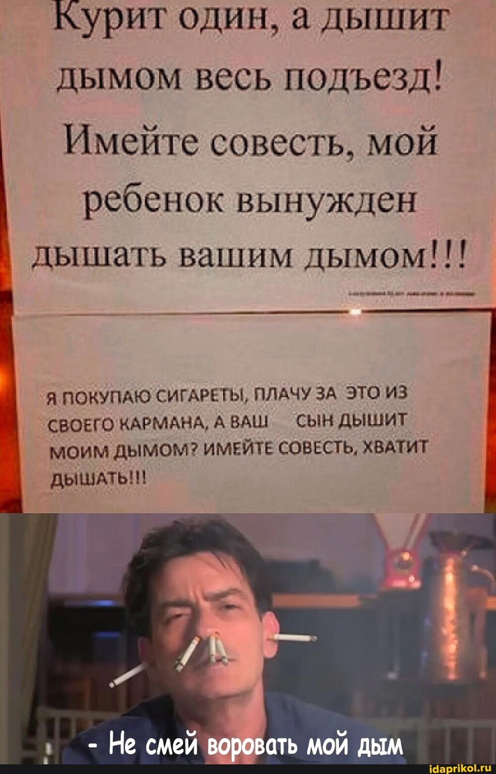 Сначала Мальдивы, потом Госдума: запрет на курение для всех, кто родился после 2007 года