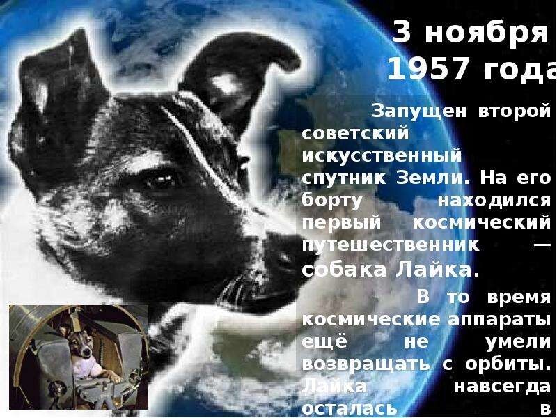 Лишь о политике