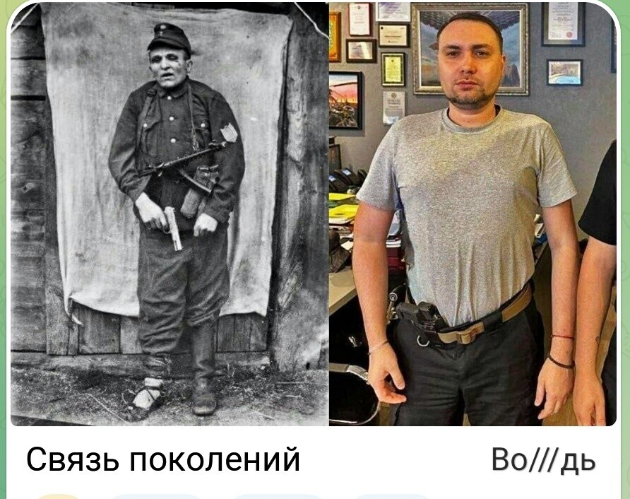 Лишь о политике