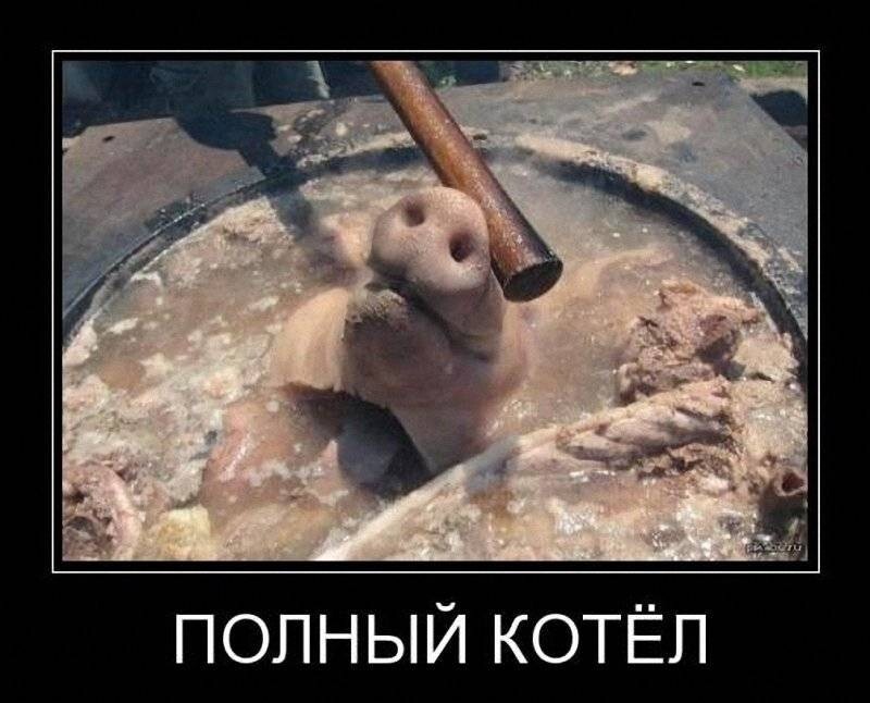 Лишь о политике