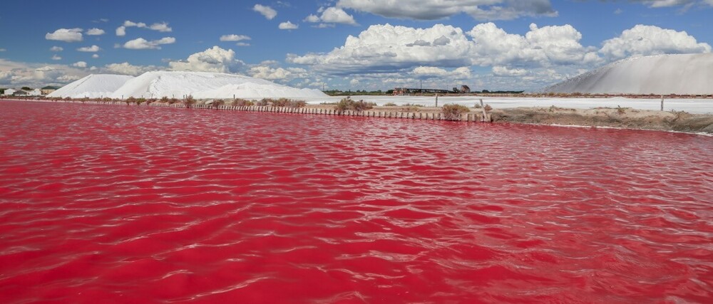 2. Озеро Ретба, Сенегал