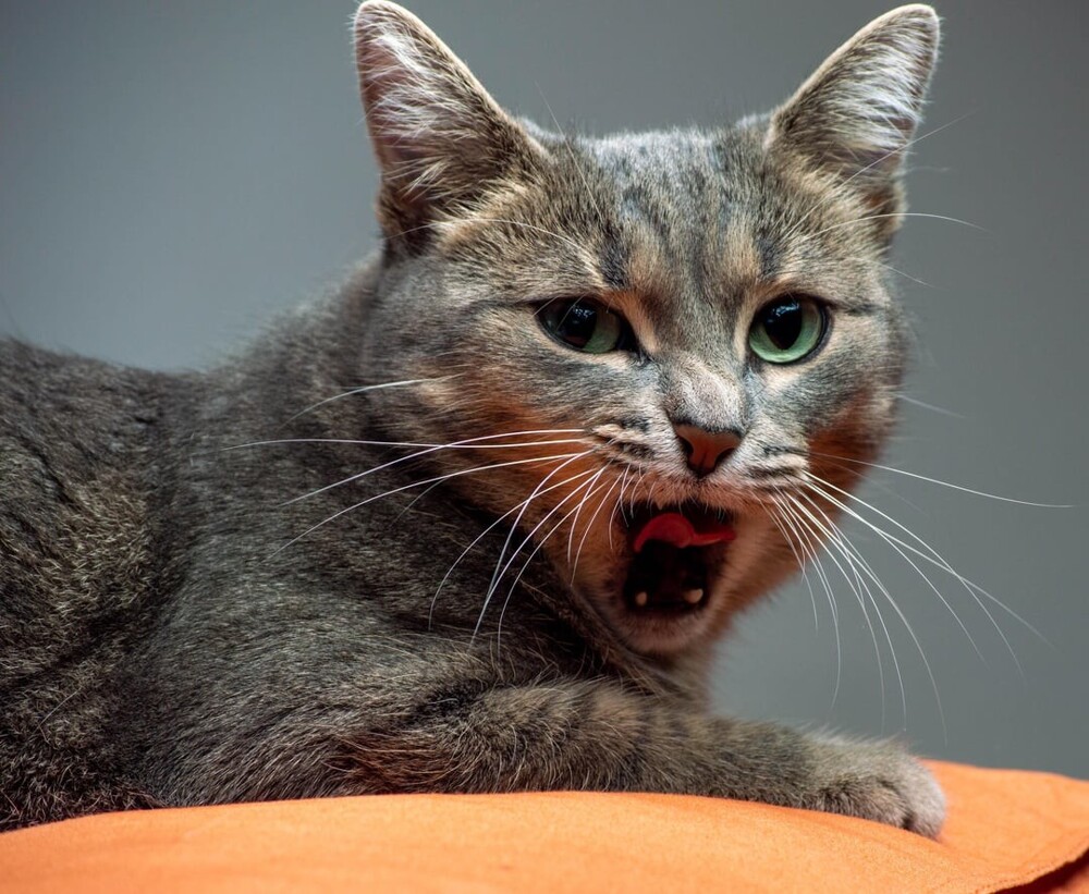 2. Думайте о прекрасном