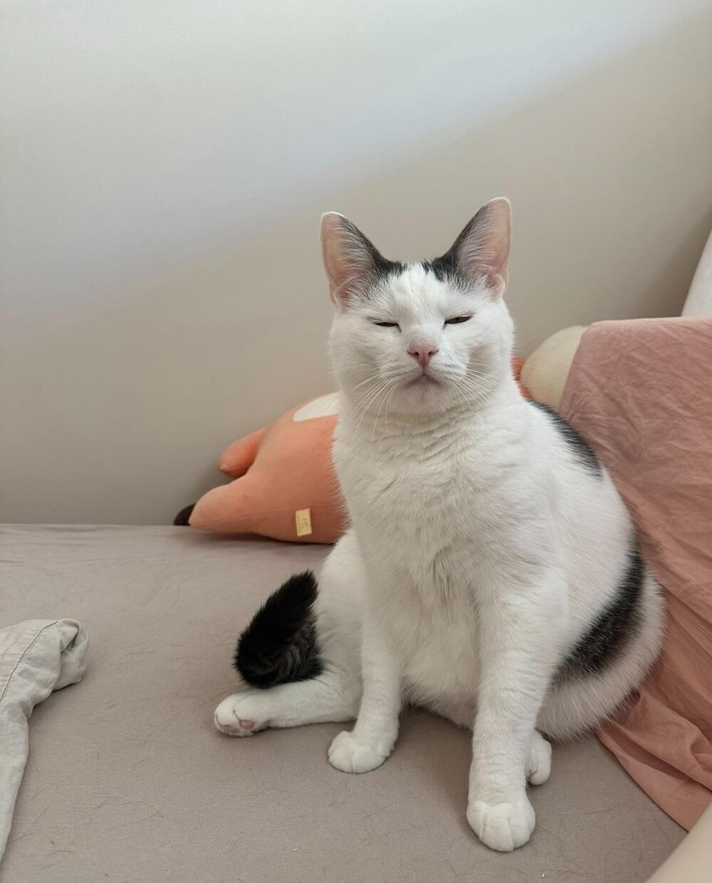 6. С чувством выполненного долга по реализованным на сегодня пакостям