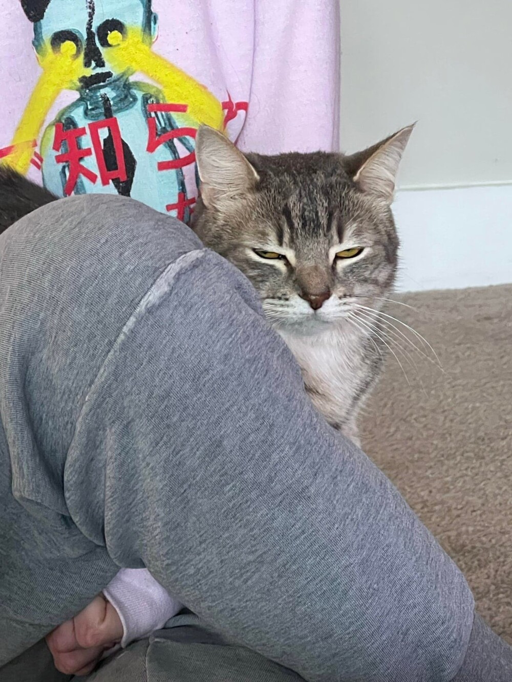 3. Когда план по безобразиям уже составлен