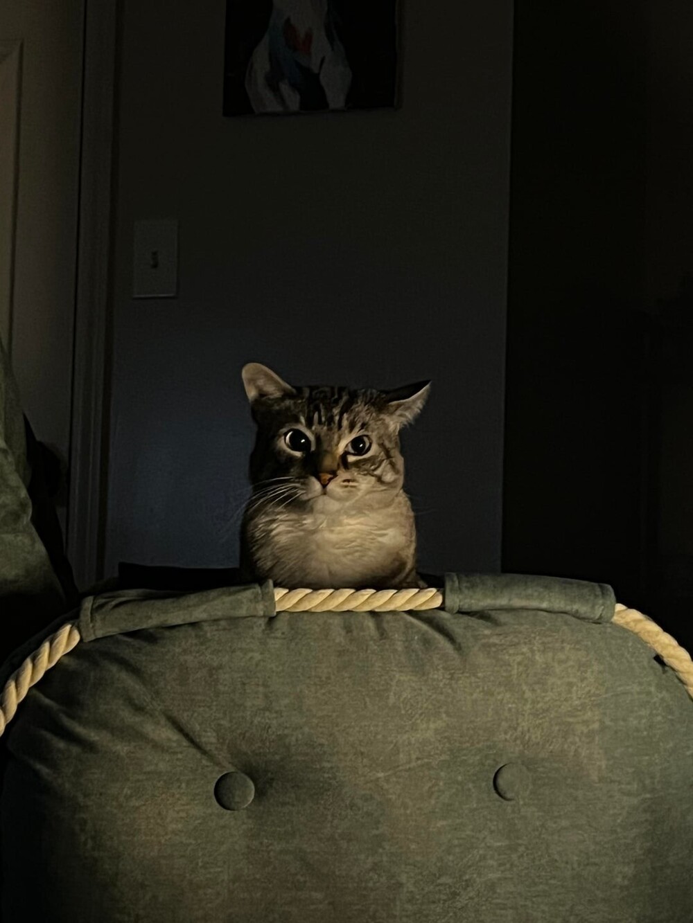 4. У меня к тебе серьёзный разговор