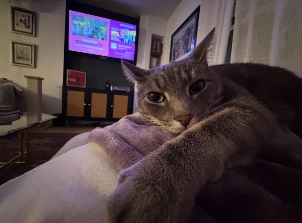 12. Я точно знаю, что мы не будем смотреть телевизор