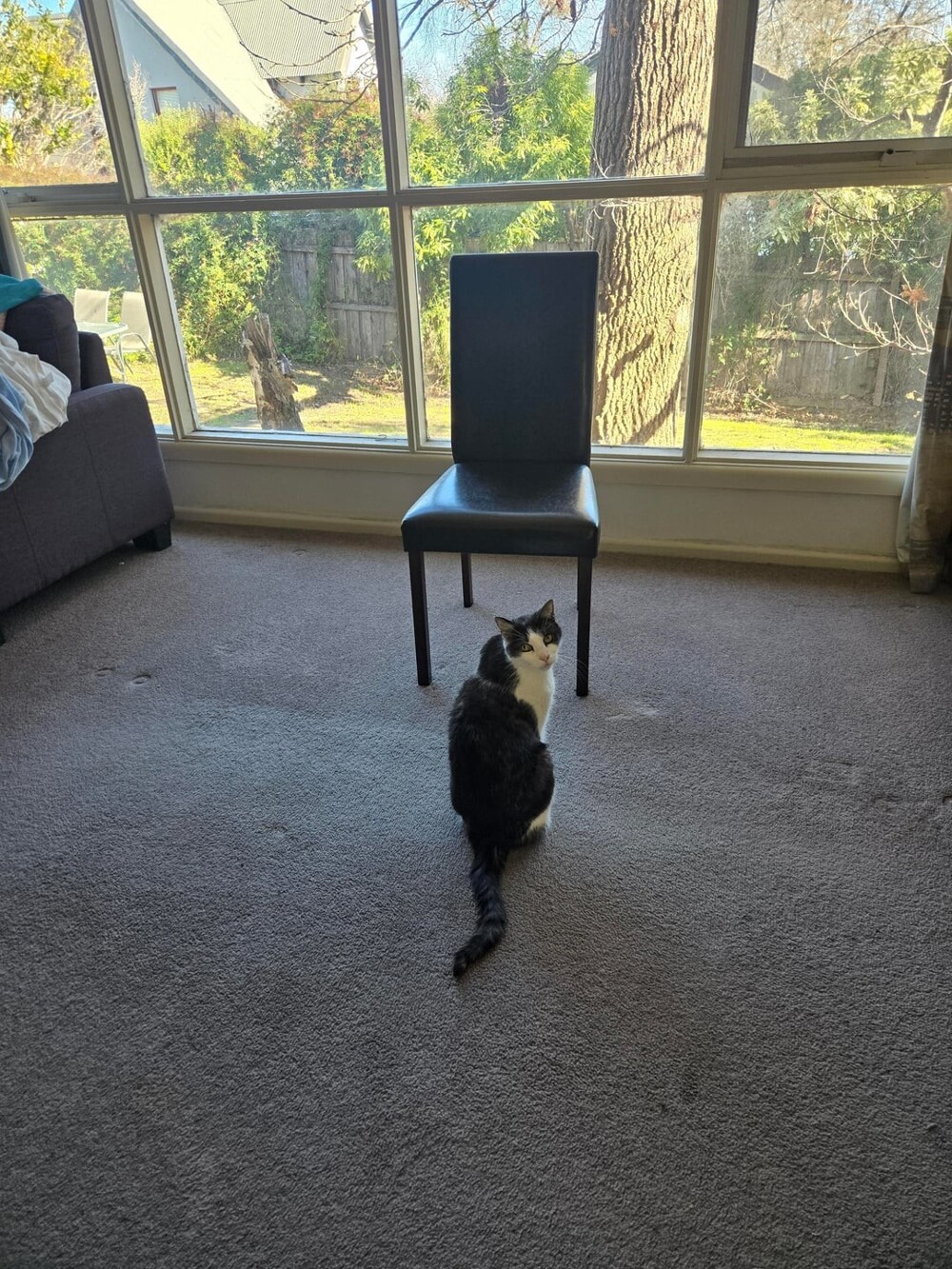 15. Если в комнате стоит стул, очевидно, что восседать на нём может только самый достойный