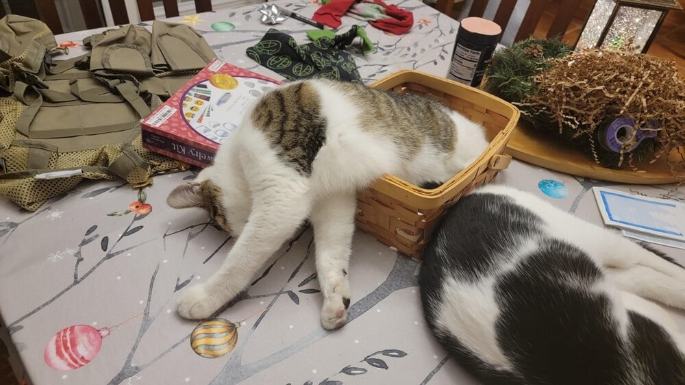 16. Плавно перетекаем из осени в зиму