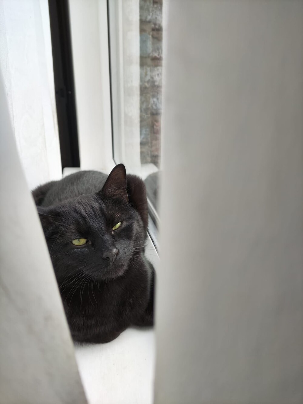 11. Покинь мой уголок уединения, бестактный кожаный