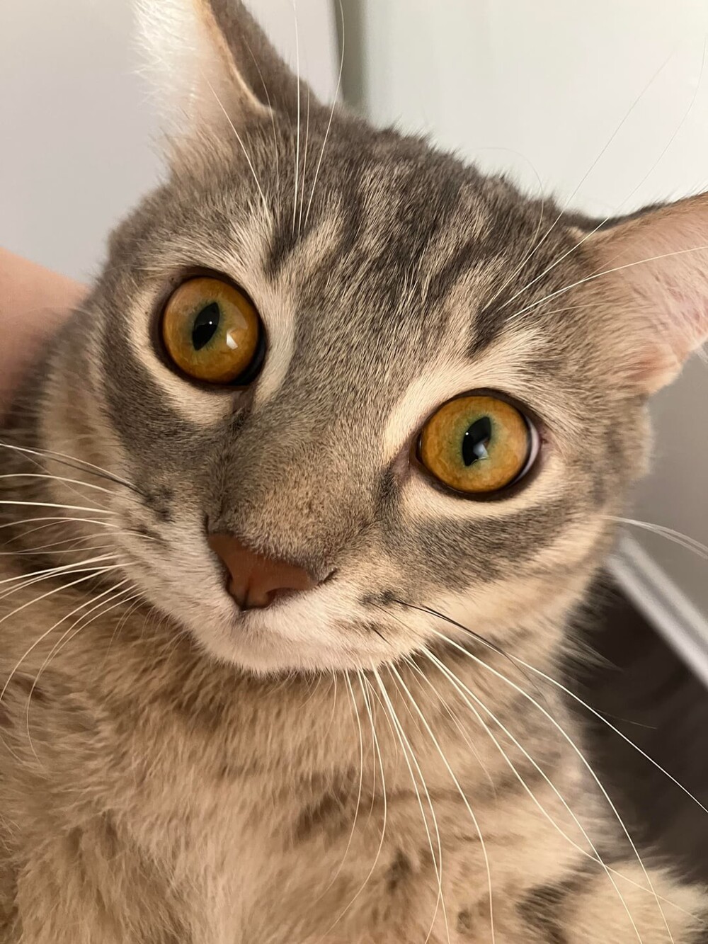 7. В смысле - добавки не будет?!