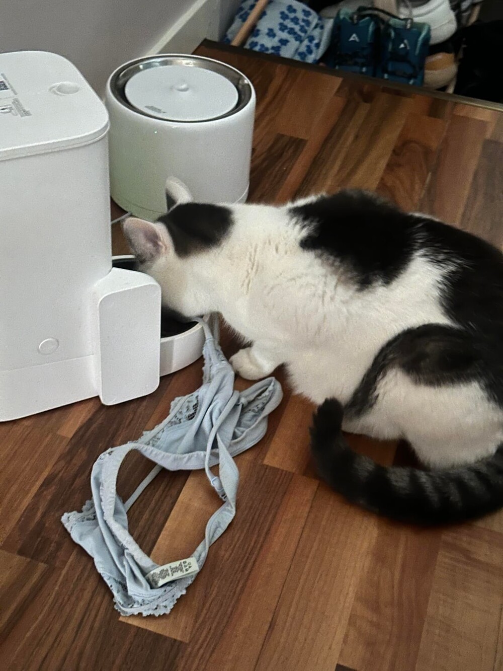 8. Мне это надо, надо