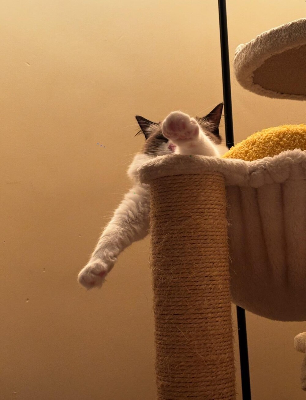 22. Мне нужно побыть наедине со своими каверзными мыслями