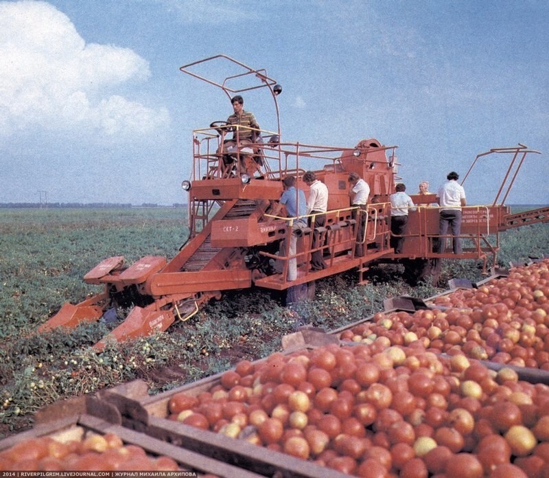 Интересные фотографии времен СССР