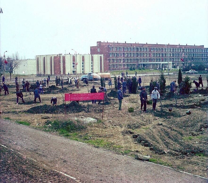 Идёт закладка сквера 40-летия освобождения Феодосии