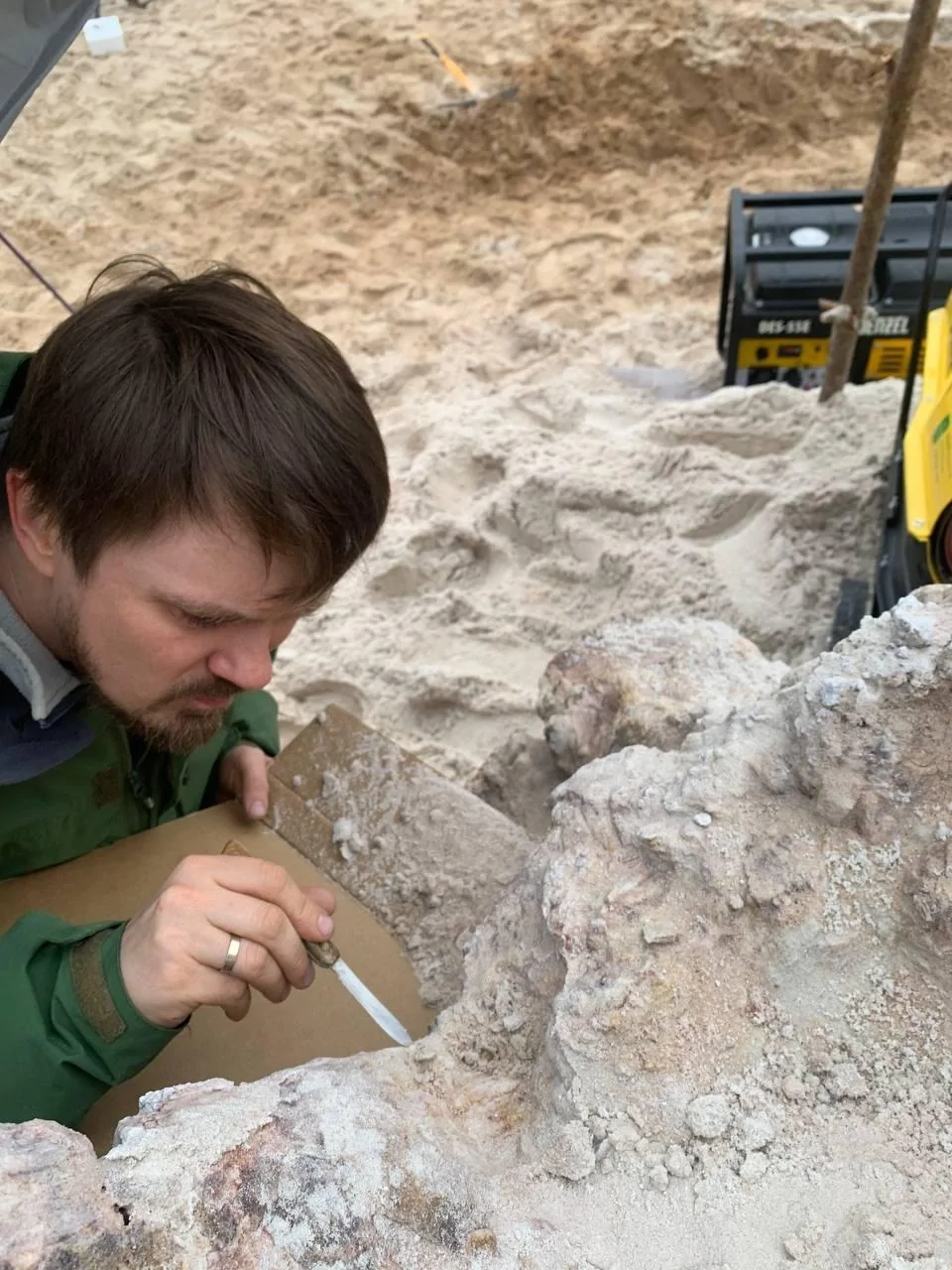 В Ленобласти нашли древнейший пень возрастом 385 млн лет