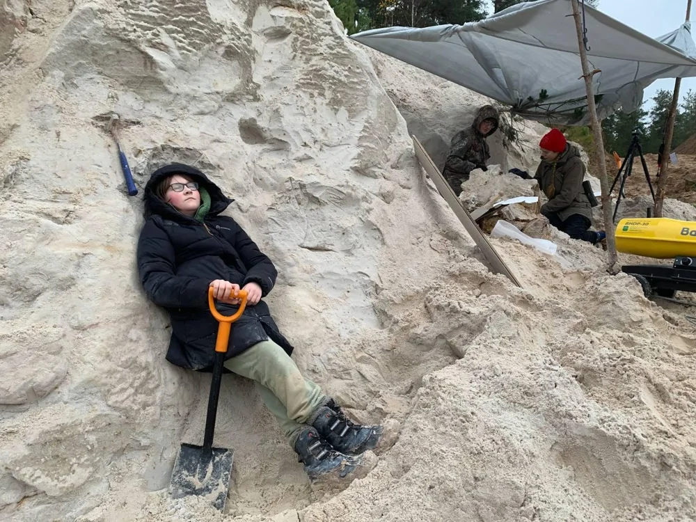 В Ленобласти нашли древнейший пень возрастом 385 млн лет