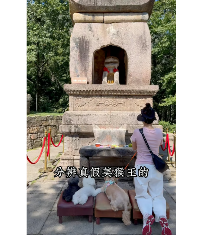 Китайцы заставляют собак помолиться