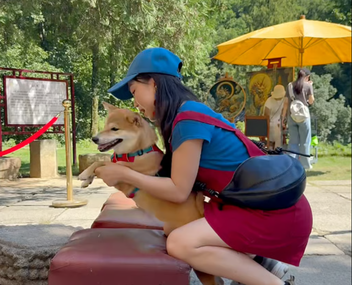 Китайцы заставляют собак помолиться